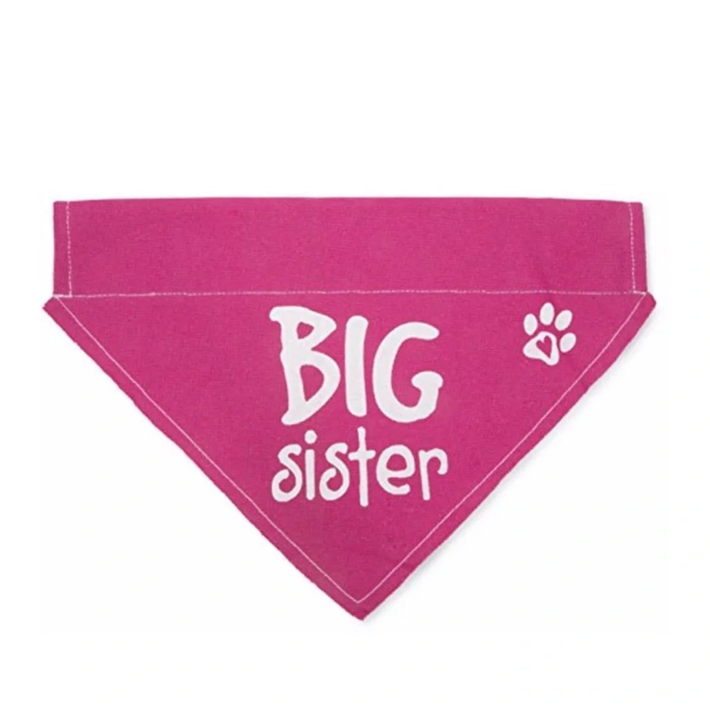 Big Sister Pink Dog Bandana - Pet Accessory